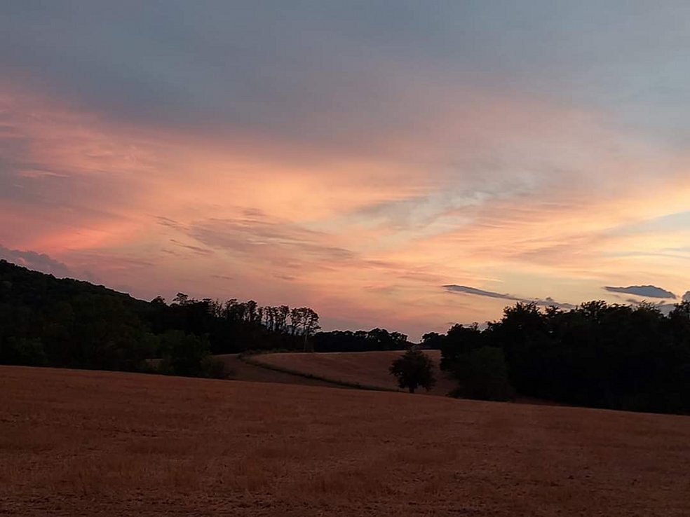 Sunset Fields photo by Tori Rider